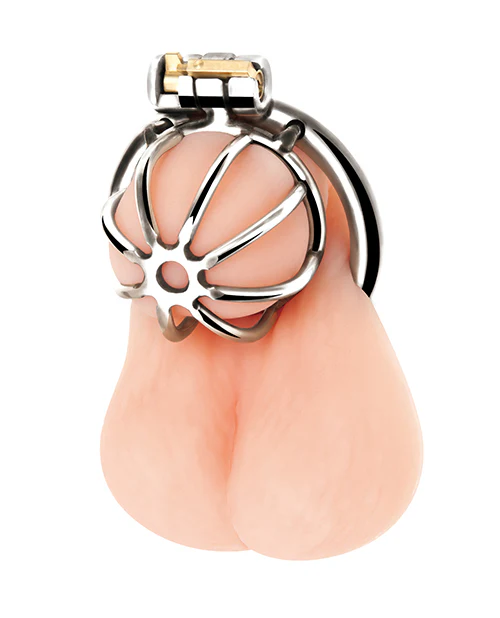 Little Cock Cage - Image 2