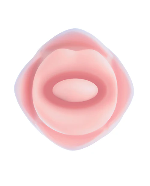 Blush Kissing Rose - Image 3