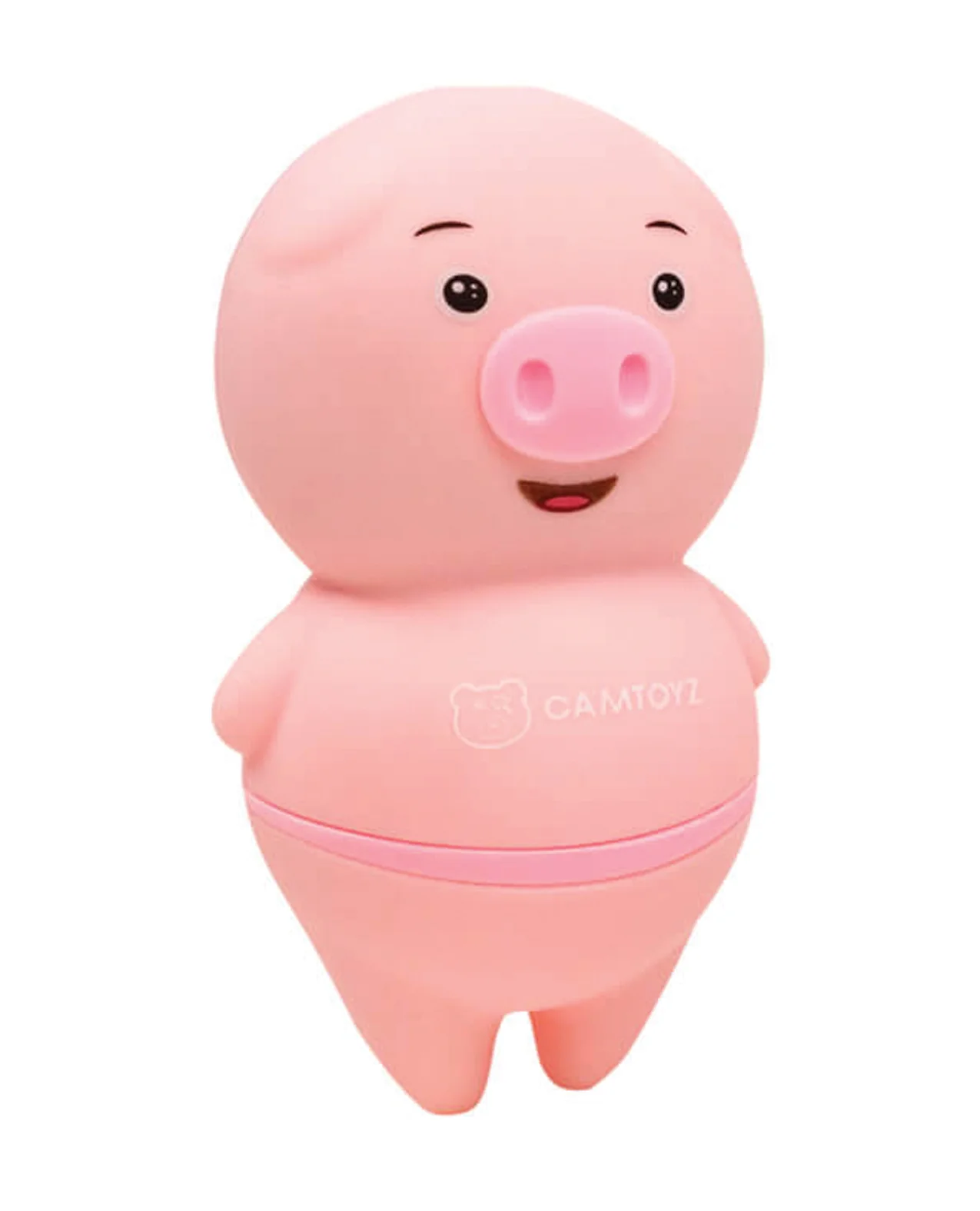 Camtoyz Pigly