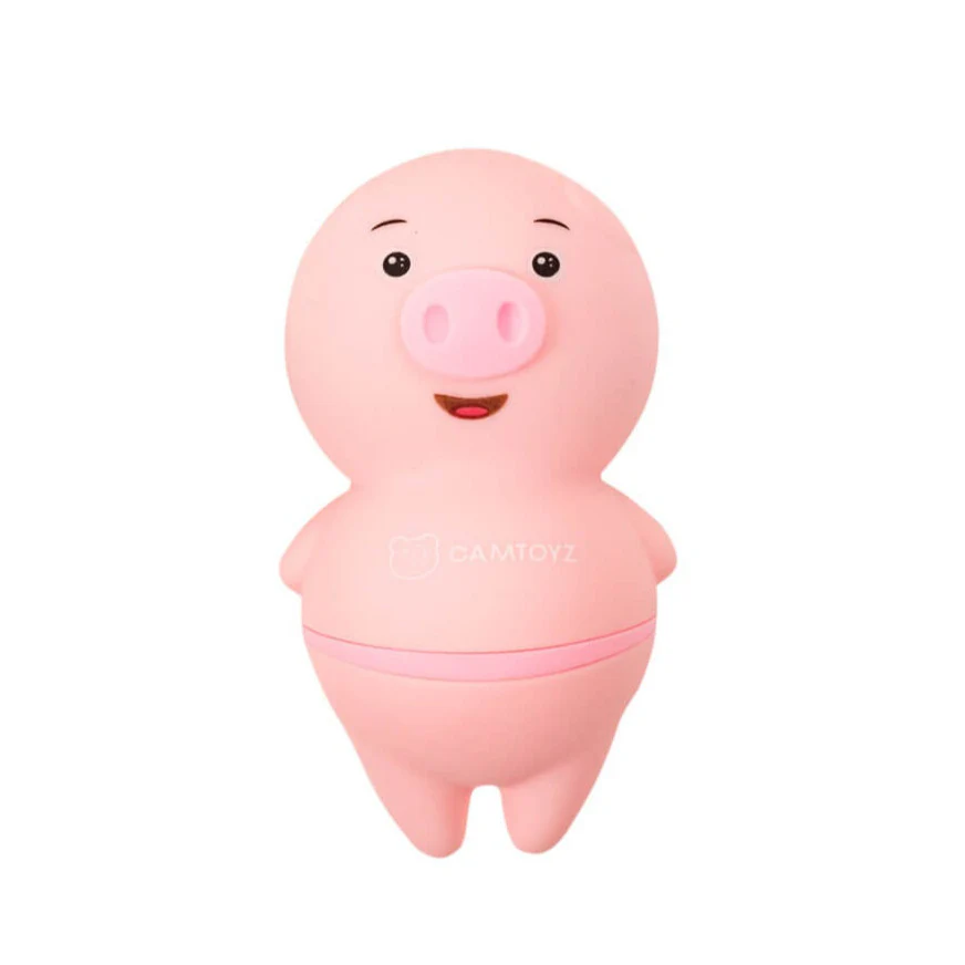 Camtoyz Pigly - Image 4