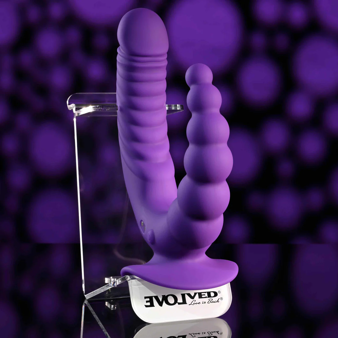 Evolved The Rider - Image 5