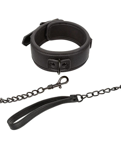 Nocturnal Collar & Leash